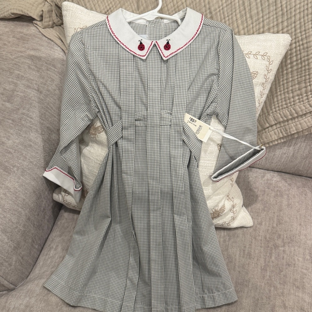 Pixie Lily Gingham Dress with White Collar